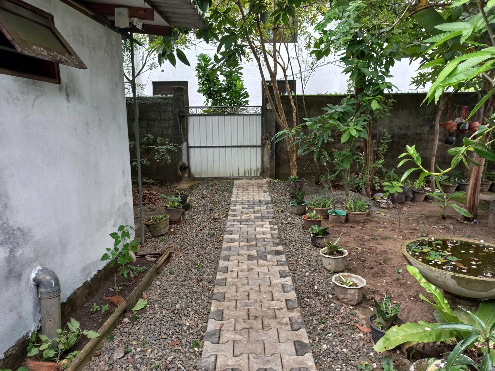 Mango Villa 703 Hikkaduwa Zewnętrze zdjęcie
